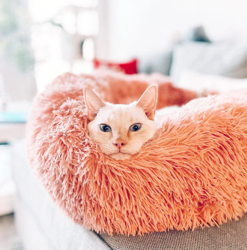 Finally sleep through the night — while your cat rests calmly in Nuviana™ calming bed