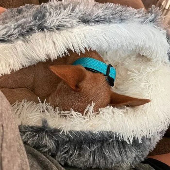 Cozy Cave Bed for Cats and Small Dogs